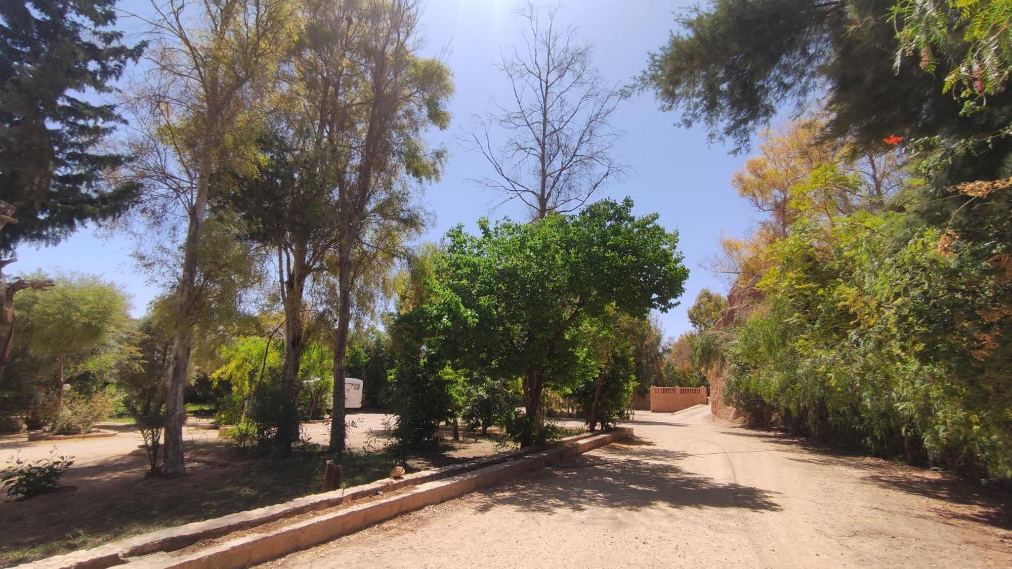 Hotel Camping Le Soleil Tinghir Dış mekan fotoğraf